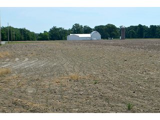 Property photo 31 - FARM & LAND AUCTION - 125+/- ACRES OFFERED IN 5 TRACTS IN EAST ALLEN COUNTY, INDIANA